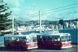 Image of Trolley Busses at Oriental bay