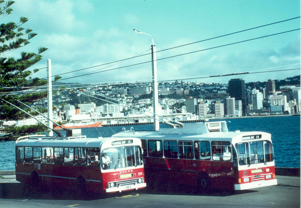 Image of Trolley Busses at Oriental bay