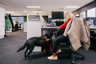 Image of Bonnie Mosen sitting at her desk, facing her black labrador guide dog, Eclipse.