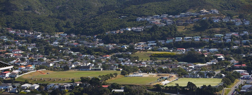 Alex Moore Park fields taken from a distance with Johnsonville in background.