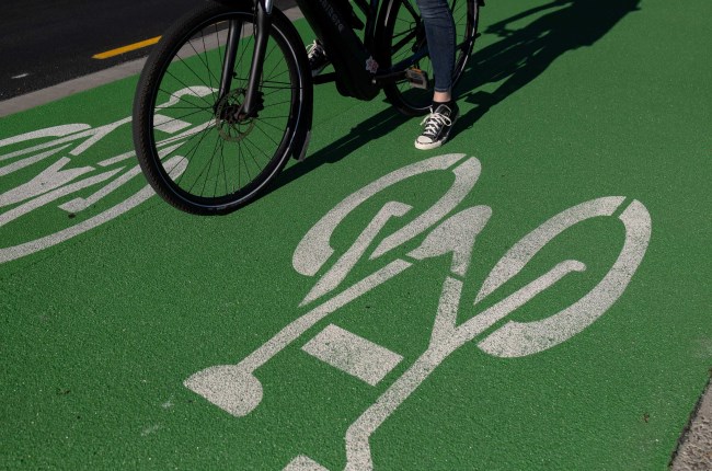 Island Bay bike lane data helping improve the city's bike network