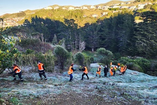 A line of people in high vis vests gardening on a frosty hill with trees in the background.