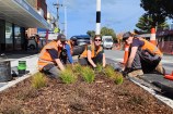 Group of people in high vis kneeling on the side of the road, tending to a garden.