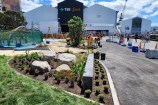 The middle of gardening work being done in Frank Kitts park with individual plants set out.