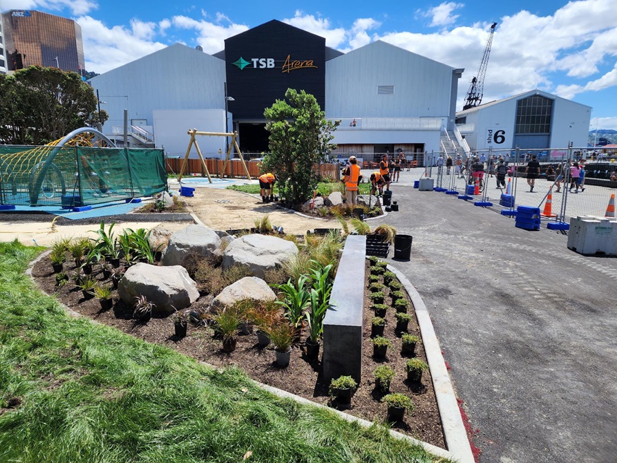 The middle of gardening work being done in Frank Kitts park with individual plants set out.
