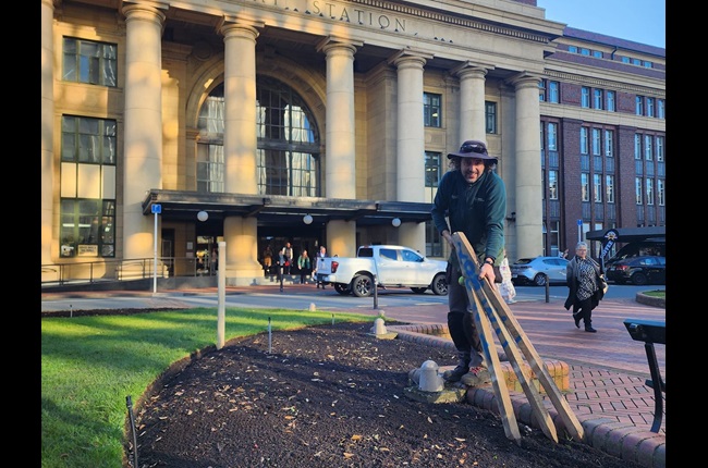 A different type of planter box: A chat with Gardener Tom