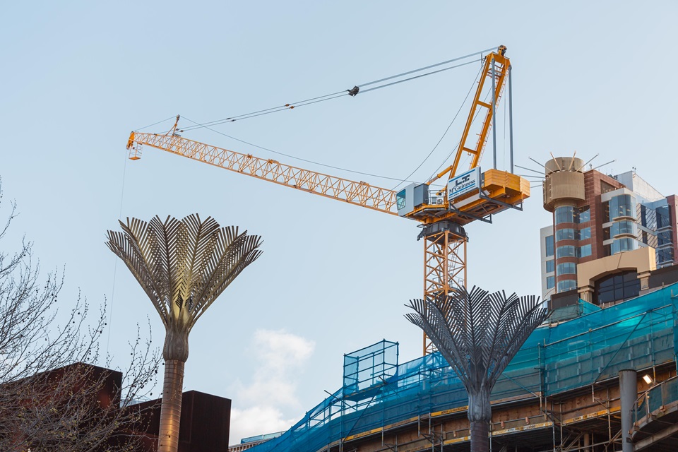 Tower crane with nikau in foreground and buildings behind.