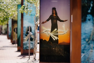Lightboxes on Courtenay Place.
