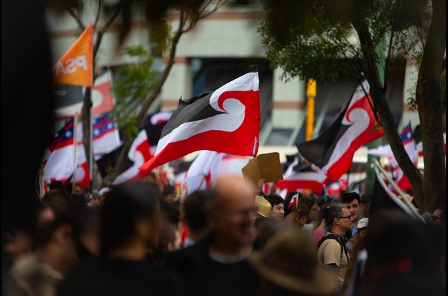 Wellington City Council joins 42,000+ vs divisive Treaty Principles Bill