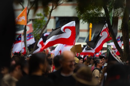 Flags in protest of Treaty Bill at Hikoi in Wellington in November.