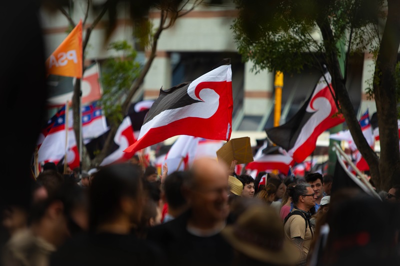 Wellington City Council joins 42,000+ vs divisive Treaty Principles