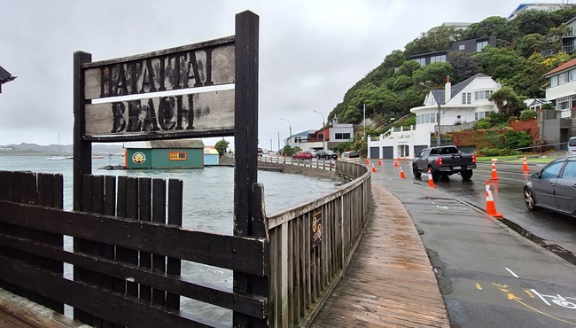 A tall wooden sign saying Hataitai Beach, attached to fencing bordering the seaside and a road.