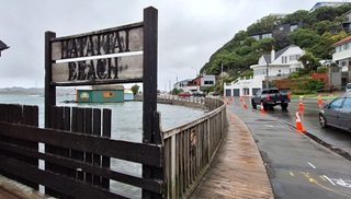 A tall wooden sign saying Hataitai Beach, attached to fencing bordering the seaside and a road.