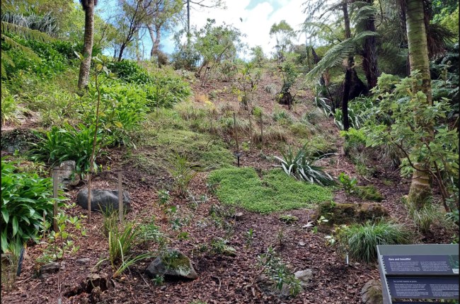 A garden dedicated to threatened species