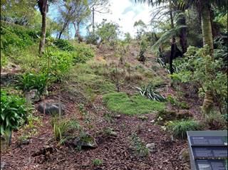 Threatened Species Garden going up a hill.