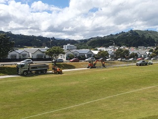 Works being completed at MacAlister Park.