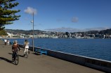 Person cycling around a harbour with Wellington city in the distance.