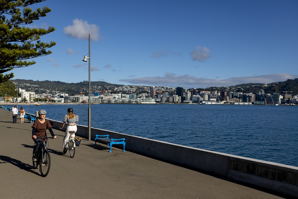 Person cycling around a harbour with Wellington city in the distance.