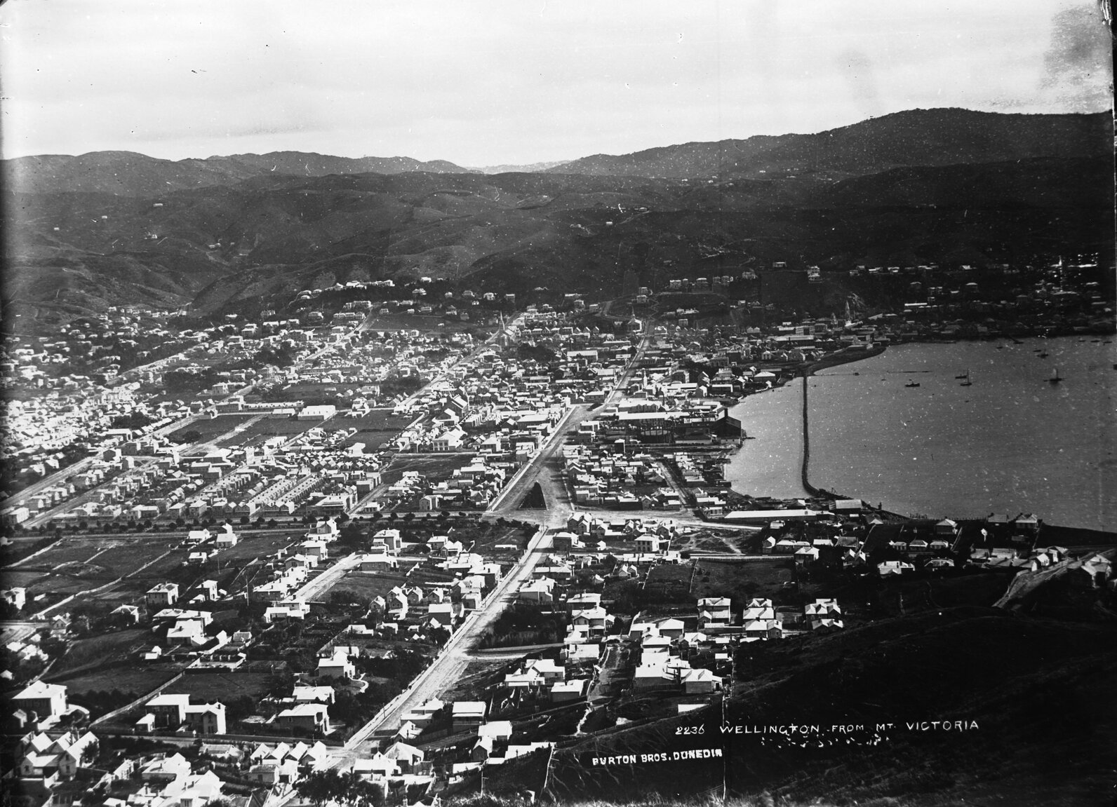 View of the city showing Manners and Boulcott Streets. 