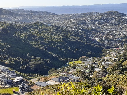 Birdseye view over a suburb in Wellington with rolling hills.