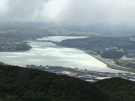 Te Awa o Porirua viewed from Rangituhi.