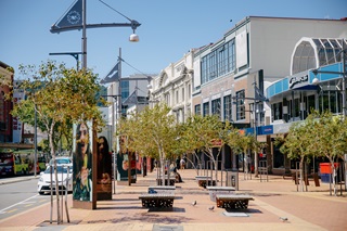 A sunny, pedestrian-friendly urban street with trees, benches, and shops.