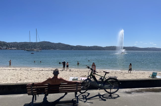 Oriental Bay on a sunny summer's day.