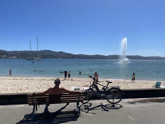 Oriental Bay on a sunny summer's day.