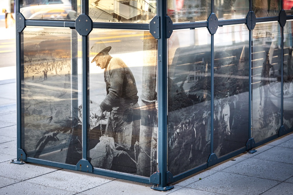 Bus shelter in the middle of an urban street with archival images on it.