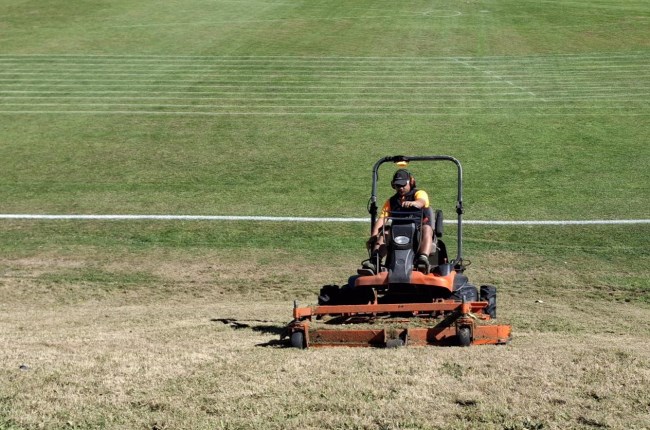 101: How to care for your lawn