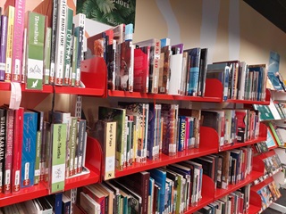 Range of books on red shelves in a library.