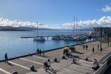 Wellington waterfront with people walking along it.