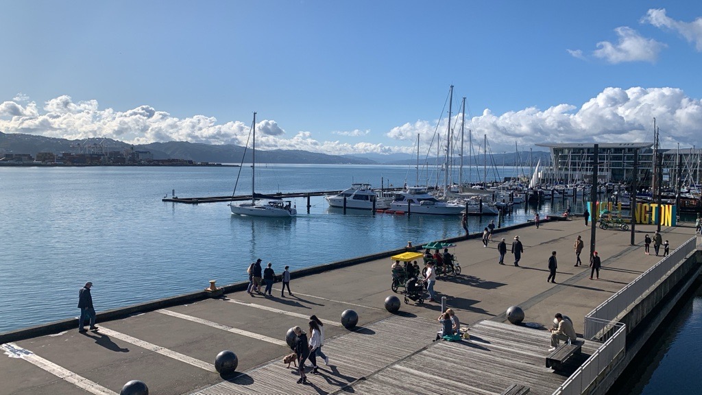 Wellington waterfront with people walking along it.