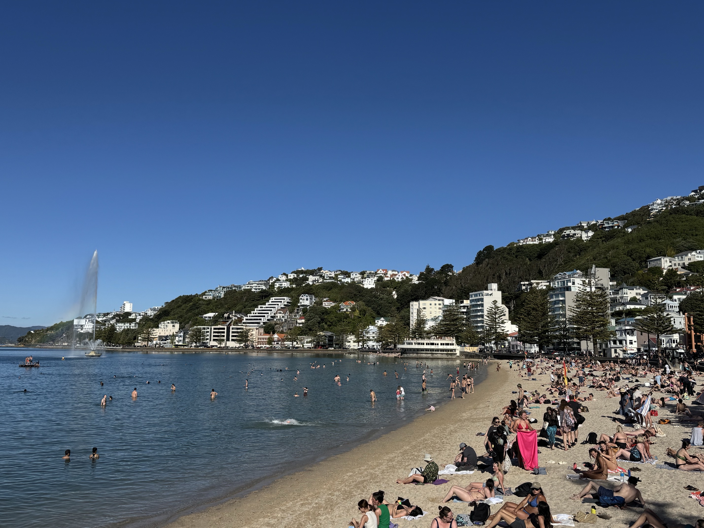 Oriental bay beach and people relaxing on the sand.