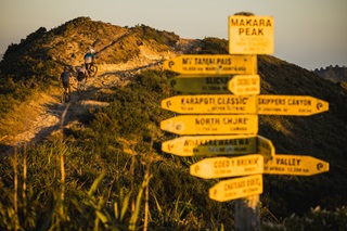 A post with multiple yellow sign posts in the foreground with people cycling up a hill behind them.