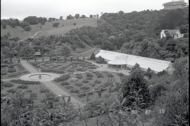 Begonia House, prior building of new tea rooms.