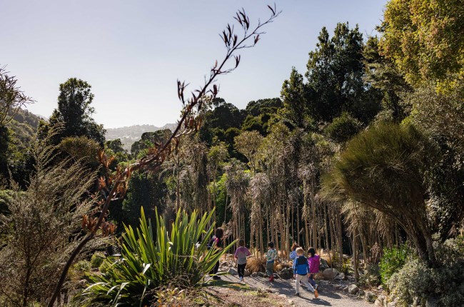 Group of children walking around Otari-Wilton's Bush.