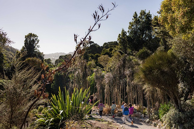 Group of children walking around Otari-Wilton's Bush.