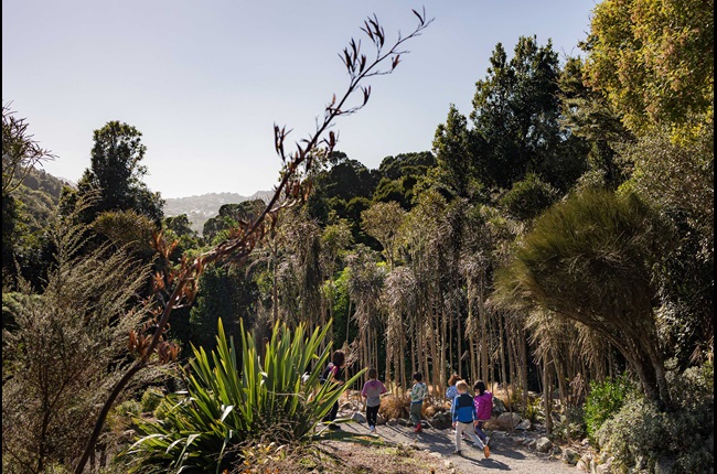 Branch out with the blooming wonderful City Nature Challenge