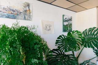 Paintings and wall hangings above large plants.