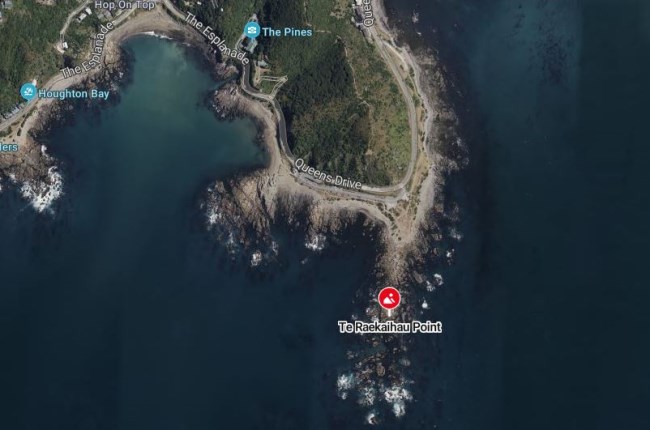 Aerial view of Te Raekaihau point and surrounding area.