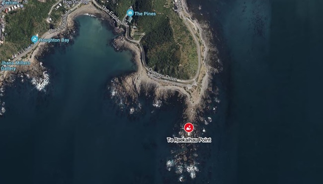Aerial view of Te Raekaihau point and surrounding area.