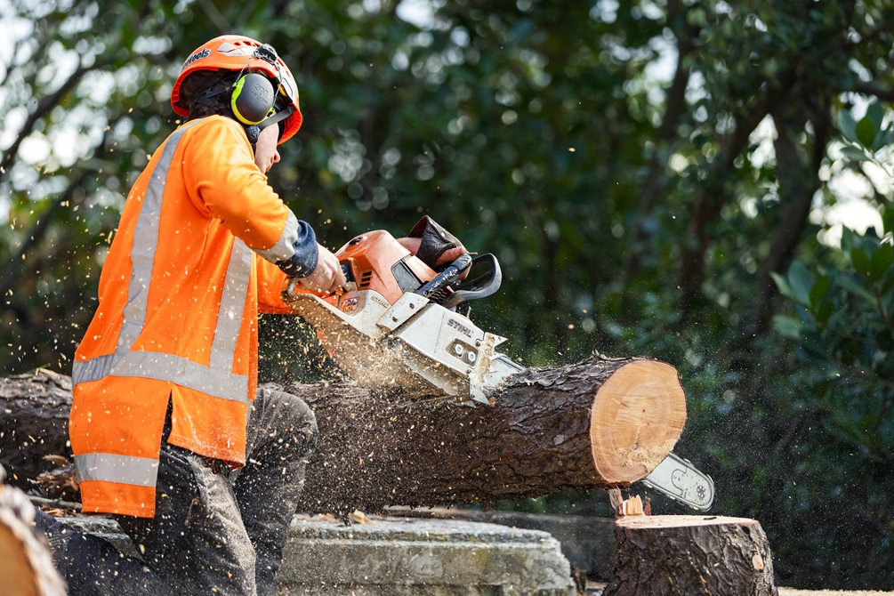 Person cutting down a tree with a harness and high vis jacket on, holding a chainsaw.