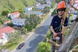 Person climbing a tree with a harness and high vis jacket on.