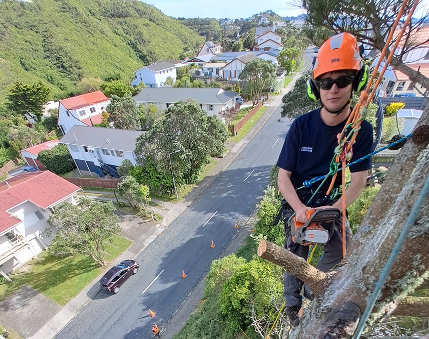 Person climbing a tree with a harness and high vis jacket on.