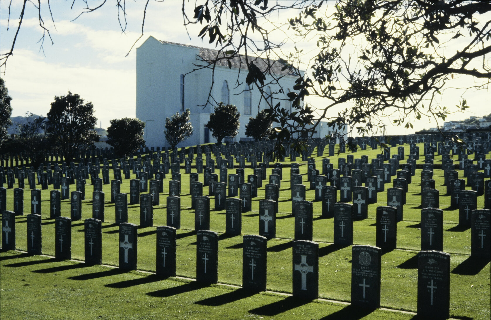 Service graves in a row at the Karori Cemetery.
