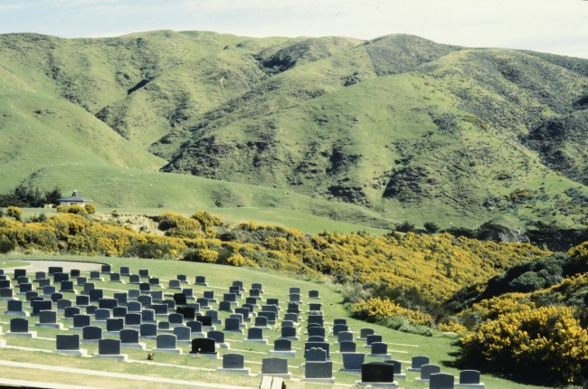 Rows of graves with rolling hills in the background at Mākara Cemetery.