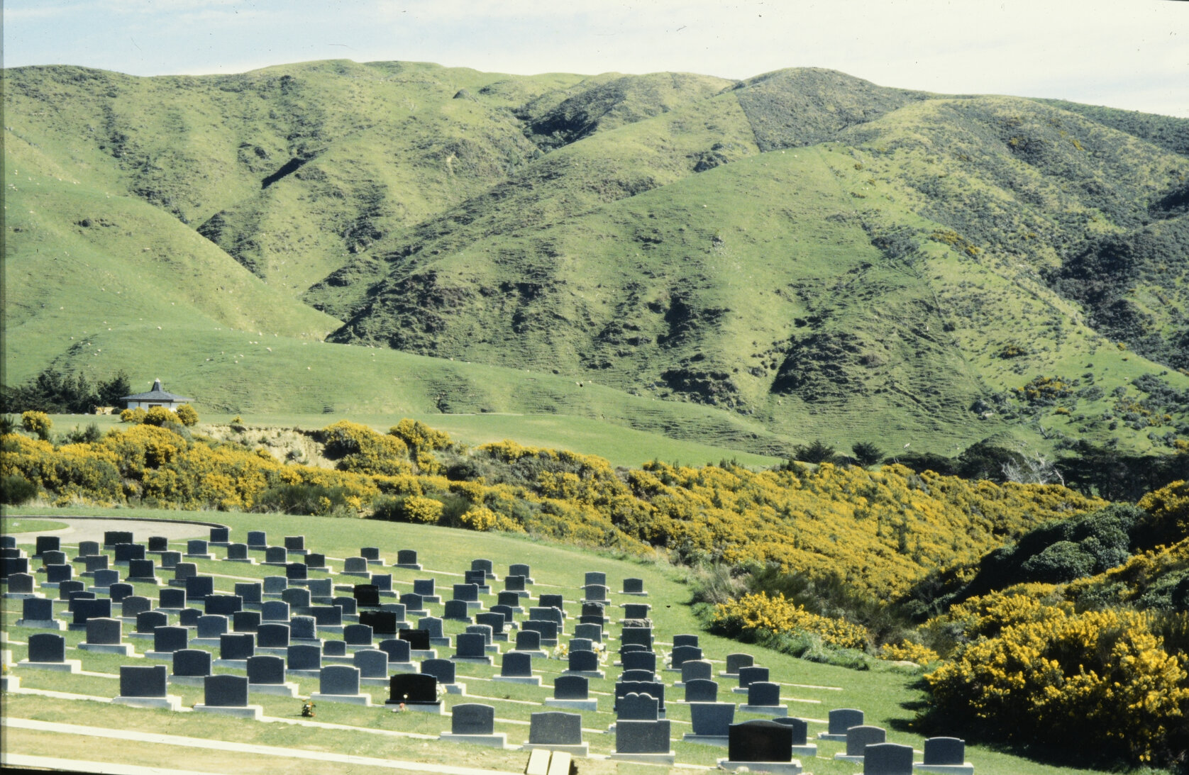 Rows of graves with rolling hills in the background at Mākara Cemetery.