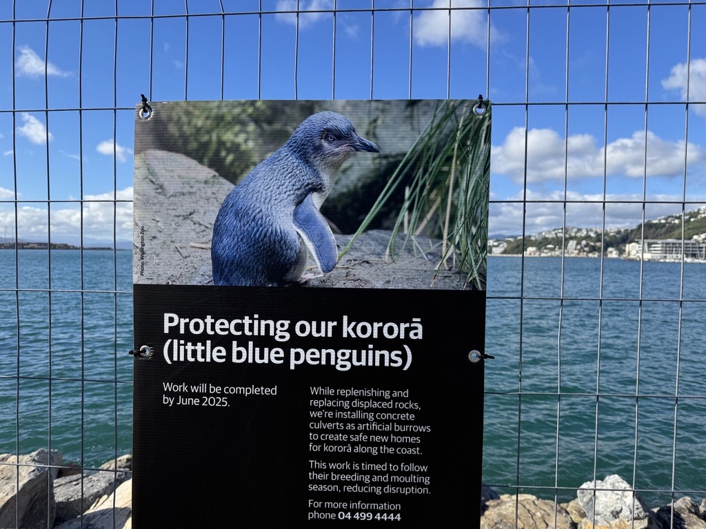 Penguin signage on a fence.