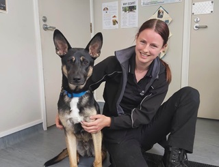 A woman in an animal control officer uniform with her arm wrapped around a dog in an office.